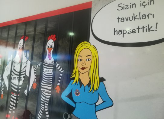 Kodes Chicke, Işıklarda Tavuk Döner, Üçkapılar Tavuk Döner, Dedeman Tavuk Döner